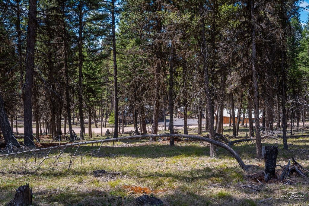 1050 Grandview Drive, Seeley Lake, MT 59868 photo 12