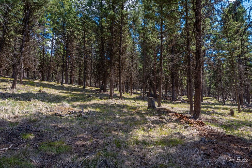 1050 Grandview Drive, Seeley Lake, MT 59868 photo 13