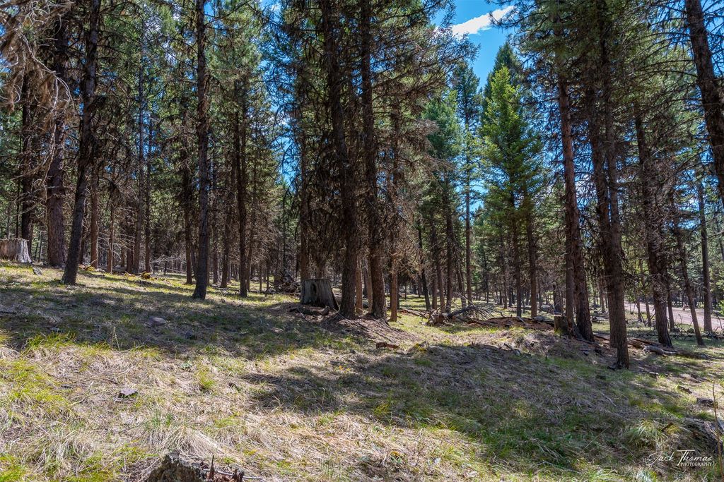 1050 Grandview Drive, Seeley Lake, MT 59868 photo 19
