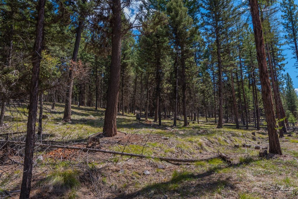 1050 Grandview Drive, Seeley Lake, MT 59868 photo 21