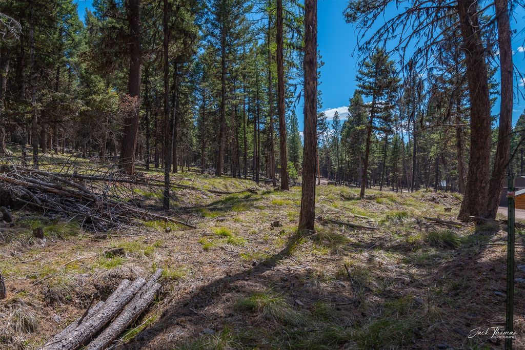 1050 Grandview Drive, Seeley Lake, MT 59868 photo 22