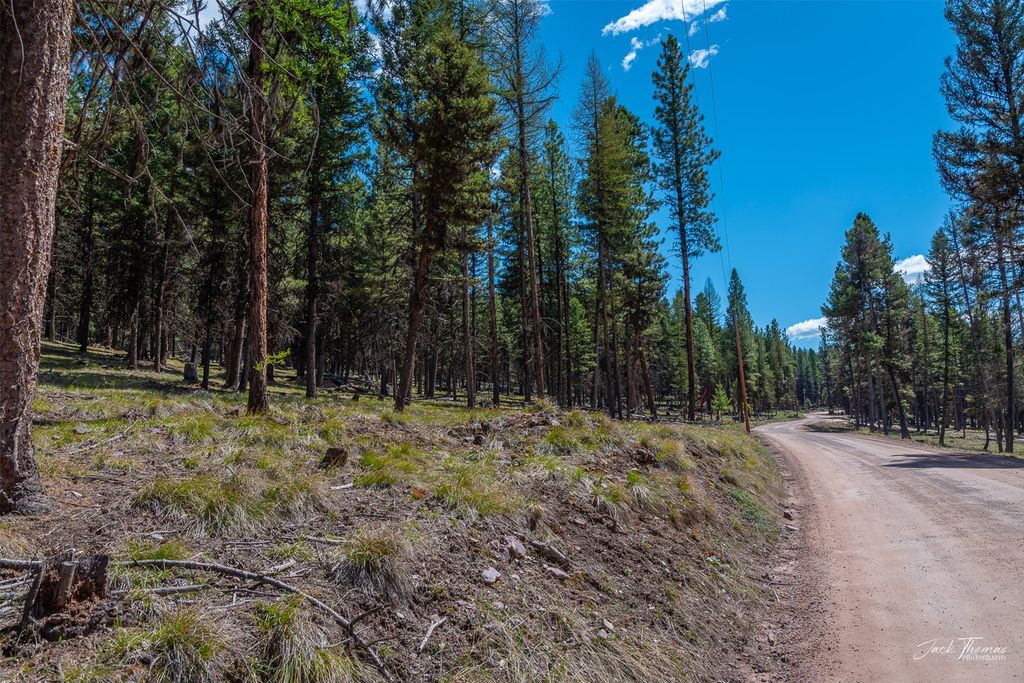 1050 Grandview Drive, Seeley Lake, MT 59868 photo 23