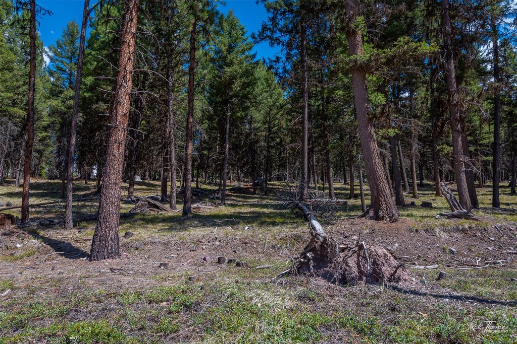 1050 Grandview Drive, Seeley Lake, MT 59868 photo 27