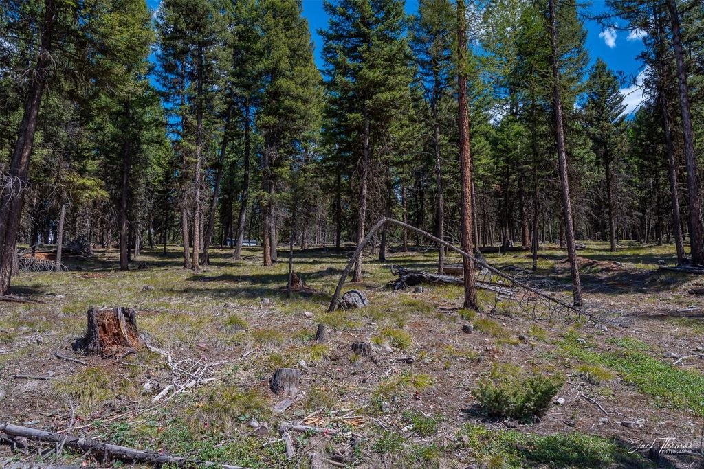 1050 Grandview Drive, Seeley Lake, MT 59868 photo 28