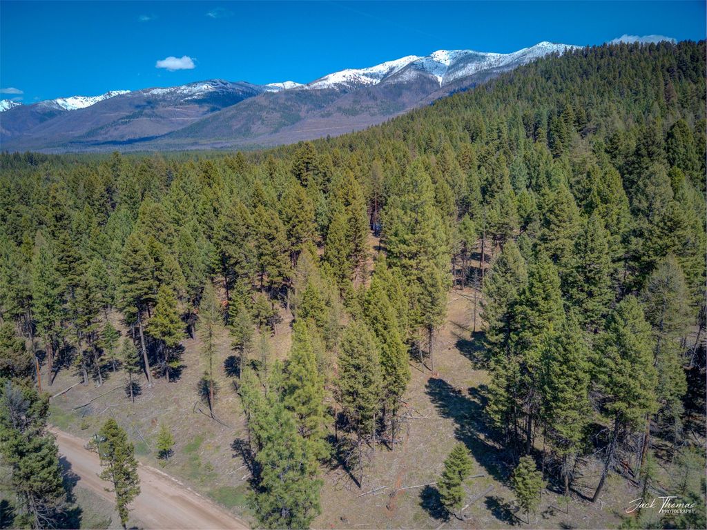 1050 Grandview Drive, Seeley Lake, MT 59868 photo 3