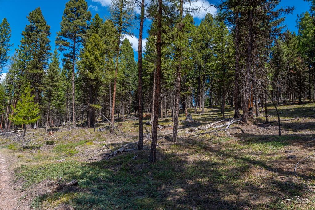 1050 Grandview Drive, Seeley Lake, MT 59868 photo 5