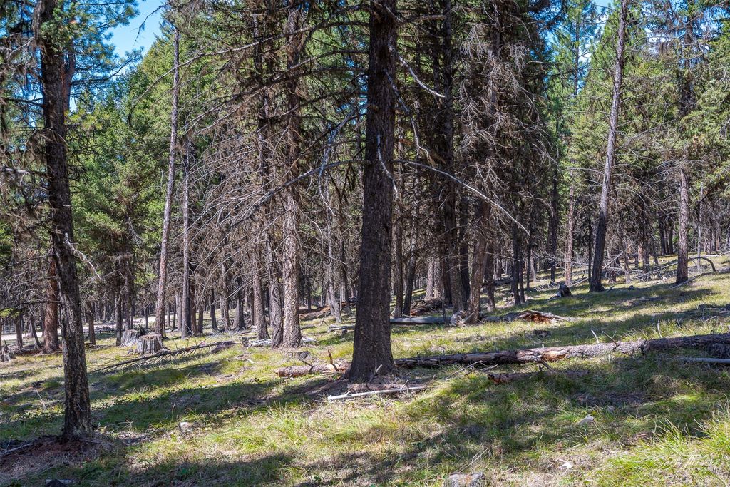 1050 Grandview Drive, Seeley Lake, MT 59868 photo 6