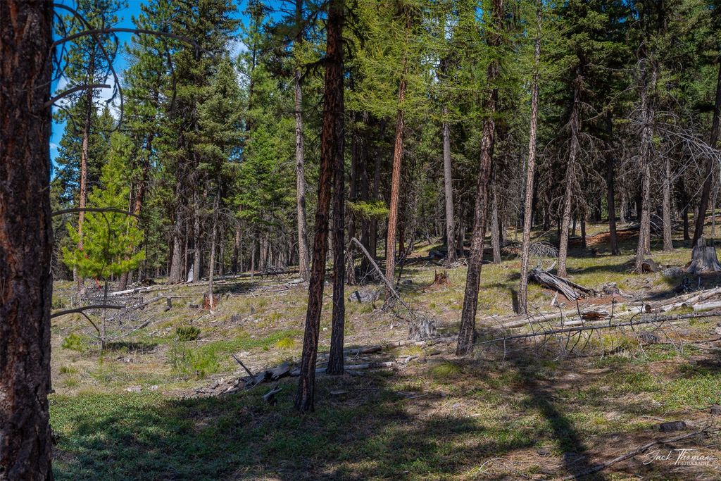 1050 Grandview Drive, Seeley Lake, MT 59868 photo 7