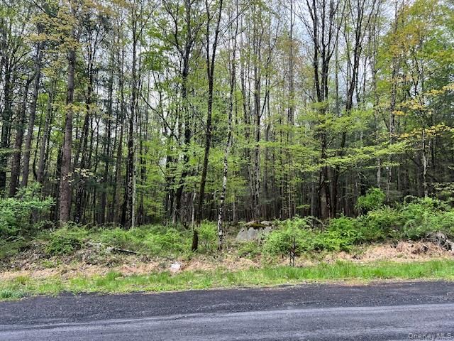 801 Oakwood Circle, Kingston, NY 12401