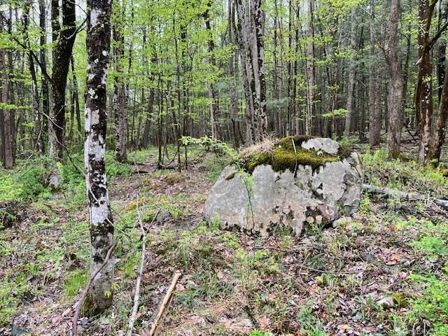 801 Oakwood Circle, Kingston, NY 12401