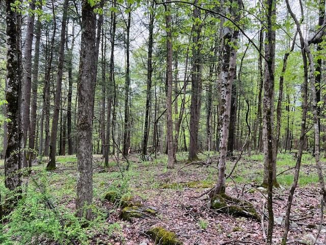 801 Oakwood Circle, Kingston, NY 12401