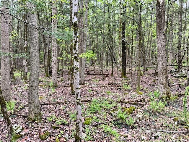 801 Oakwood Circle, Kingston, NY 12401