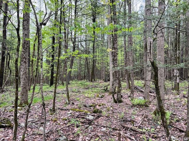 801 Oakwood Circle, Kingston, NY 12401