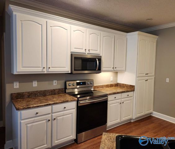 226 Jackies Terrace, Madison, AL 35758