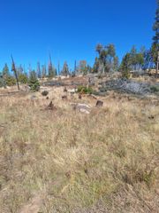 42112 Cedar Springs Road, Auberry, CA 93602