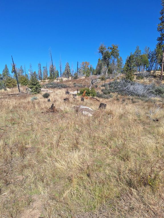 42112 Cedar Springs Road, Auberry, CA 93602