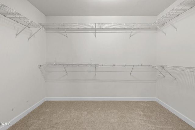 2039 Travern Drive, Raleigh, NC 27603