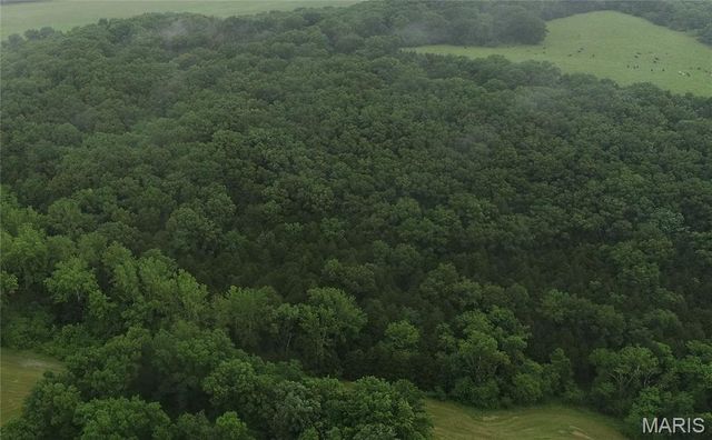 16288 Maries Road 303, Vienna, MO 65585