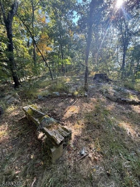 0 Hewitt Rd-next to 27, West Milford Twp., NJ 07421 — photo 4