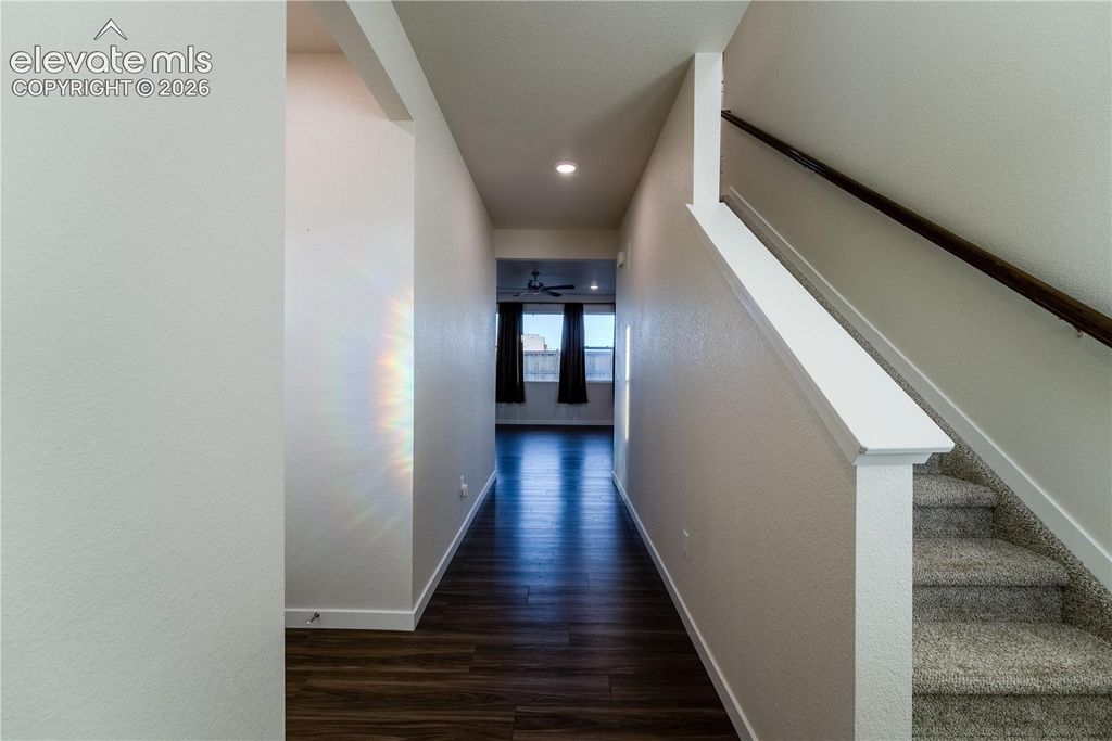 8172 Goldenray Place, Colorado Springs, CO 80908 — photo 5
