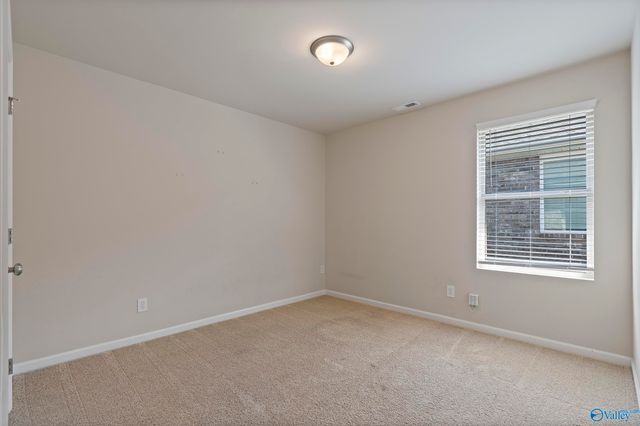 146 Tybee Drive, Madison, AL 35756