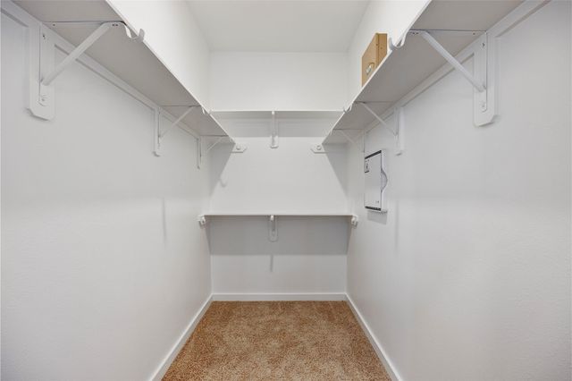 2411 Outpost Canyon Drive, Iowa Colony, TX 77583