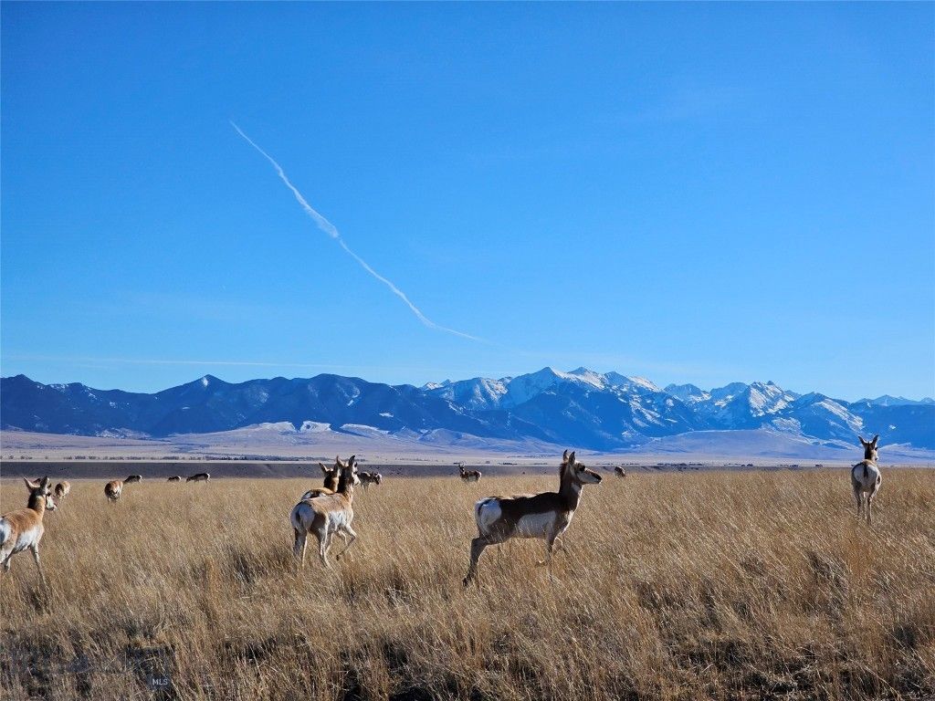 TBD Cow camp Trail, Ennis, MT 59729