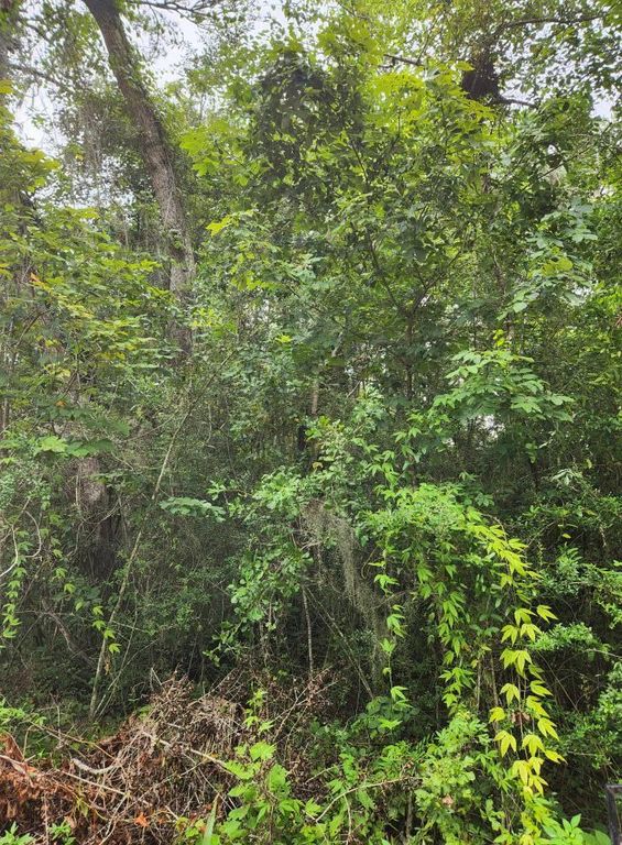 Lot 8 5th Street, Santa Rosa Beach, FL 32459