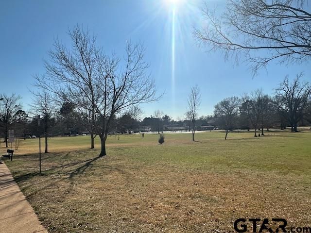 3206 Bain Place, Tyler, TX 75701