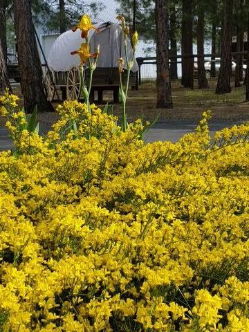 14741 N Sugar Pine Way, La Pine, OR 97739