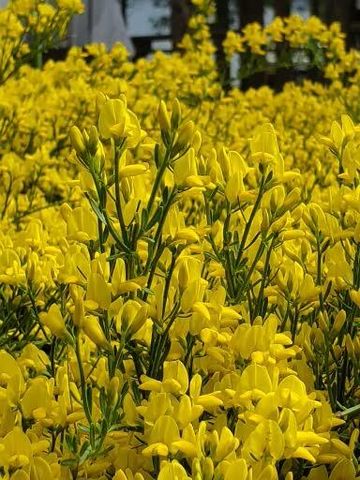 14741 N Sugar Pine Way, La Pine, OR 97739