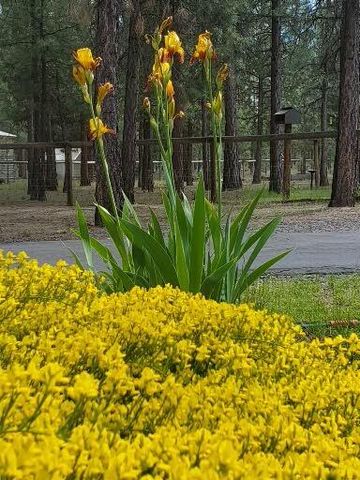 14741 N Sugar Pine Way, La Pine, OR 97739