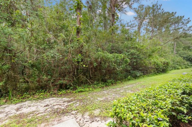 18107 PEREGRINES PERCH PLACE 6111, Lutz, FL 33558