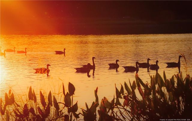 940 Lakewind, Sanford, NC 27332