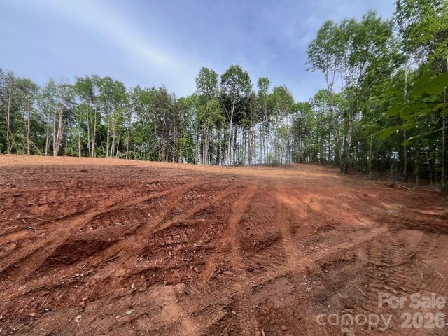 TBD Vein Mountain Road 5, Nebo, NC 28761