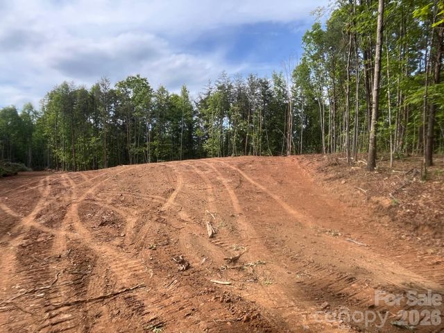 TBD Vein Mountain Road 5, Nebo, NC 28761