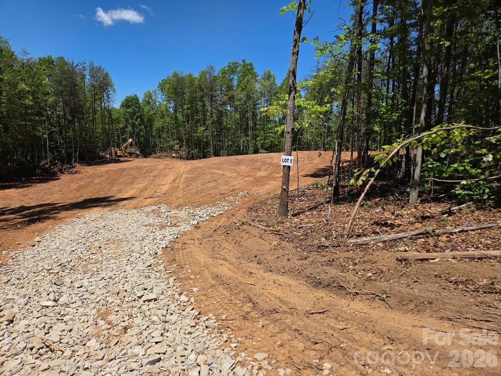 TBD Vein Mountain Road 5, Nebo, NC 28761
