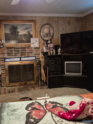 4451 Bristow Cove Road, Boaz, AL 35956