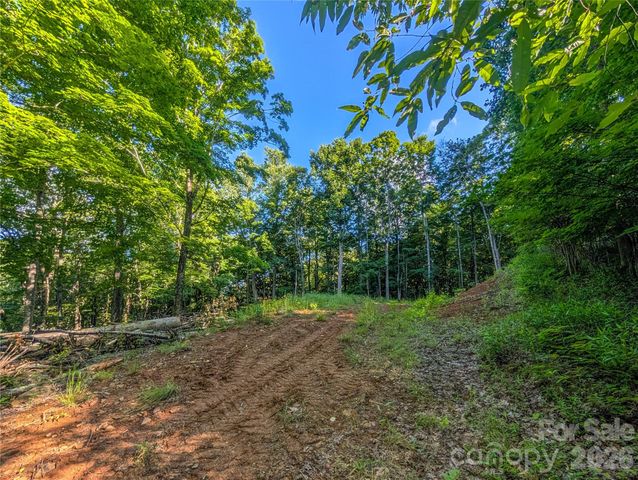 000 Amber Ranches None 47, Bakersville, NC 28705