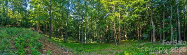 000 Amber Ranches None 47, Bakersville, NC 28705