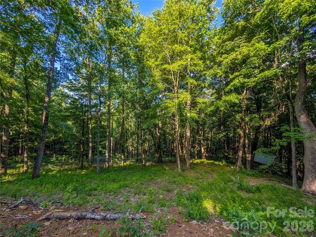 000 Amber Ranches None 47, Bakersville, NC 28705