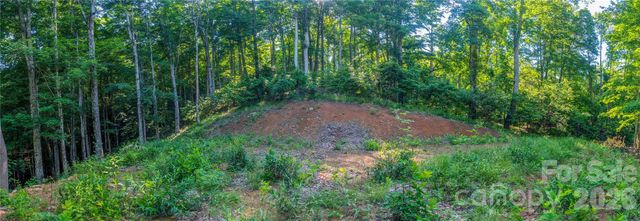 000 Amber Ranches None 47, Bakersville, NC 28705