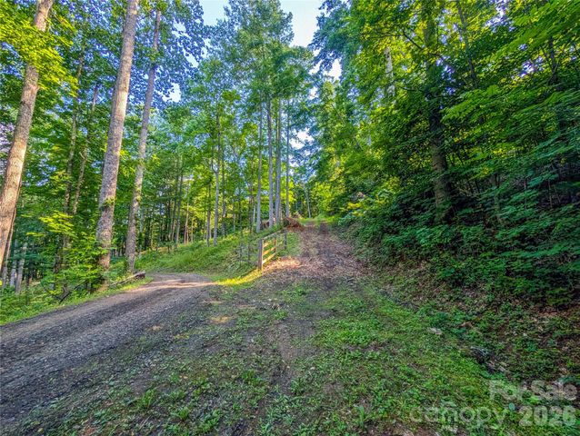 000 Amber Ranches None 47, Bakersville, NC 28705