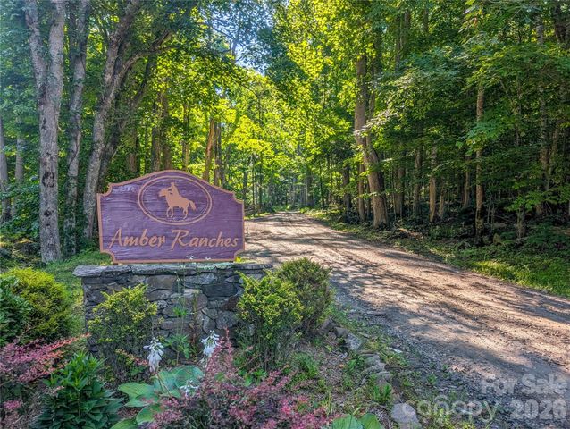 000 Amber Ranches None 47, Bakersville, NC 28705