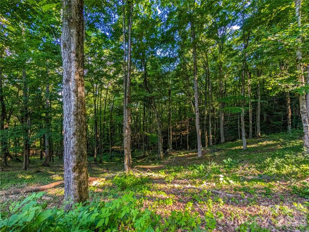 000 Amber Ranches None 47, Bakersville, NC 28705