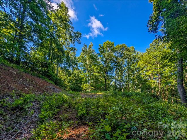 000 Amber Ranches None 47, Bakersville, NC 28705