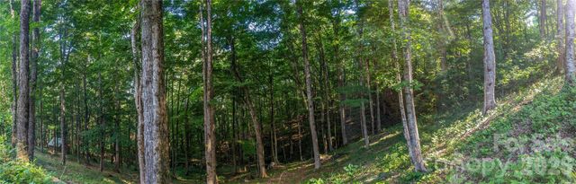 000 Amber Ranches None 47, Bakersville, NC 28705