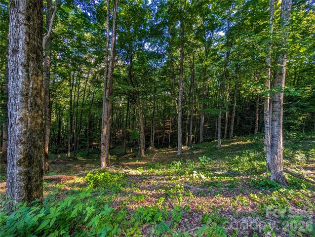 000 Amber Ranches None 47, Bakersville, NC 28705
