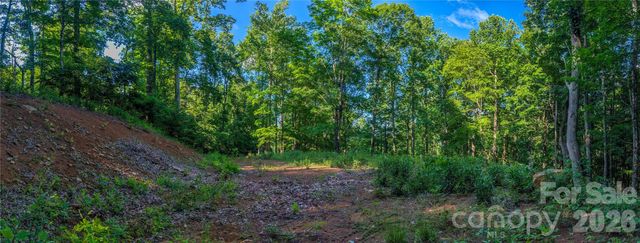 000 Amber Ranches None 47, Bakersville, NC 28705