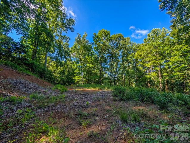 000 Amber Ranches None 47, Bakersville, NC 28705